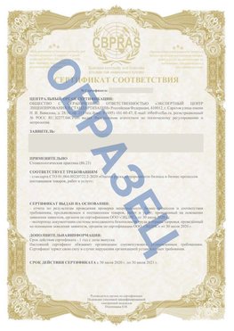 Образец Сертификат СТО 01.064.00220722.2-2020 Саяногорск Сертификат СТО 01.064.00220722.2-2020 
